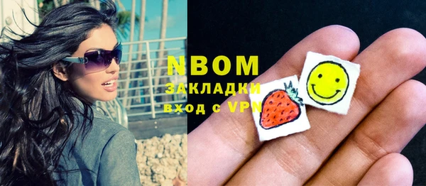стаф Алексин