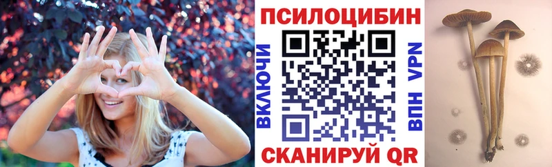 Псилоцибиновые грибы Psilocybe  Югорск 